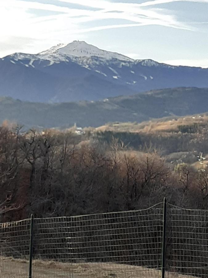 Bed & Breakfast Cimone Polinago