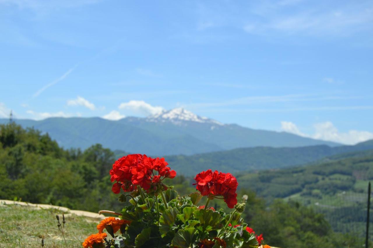 Bed & Breakfast Cimone Polinago